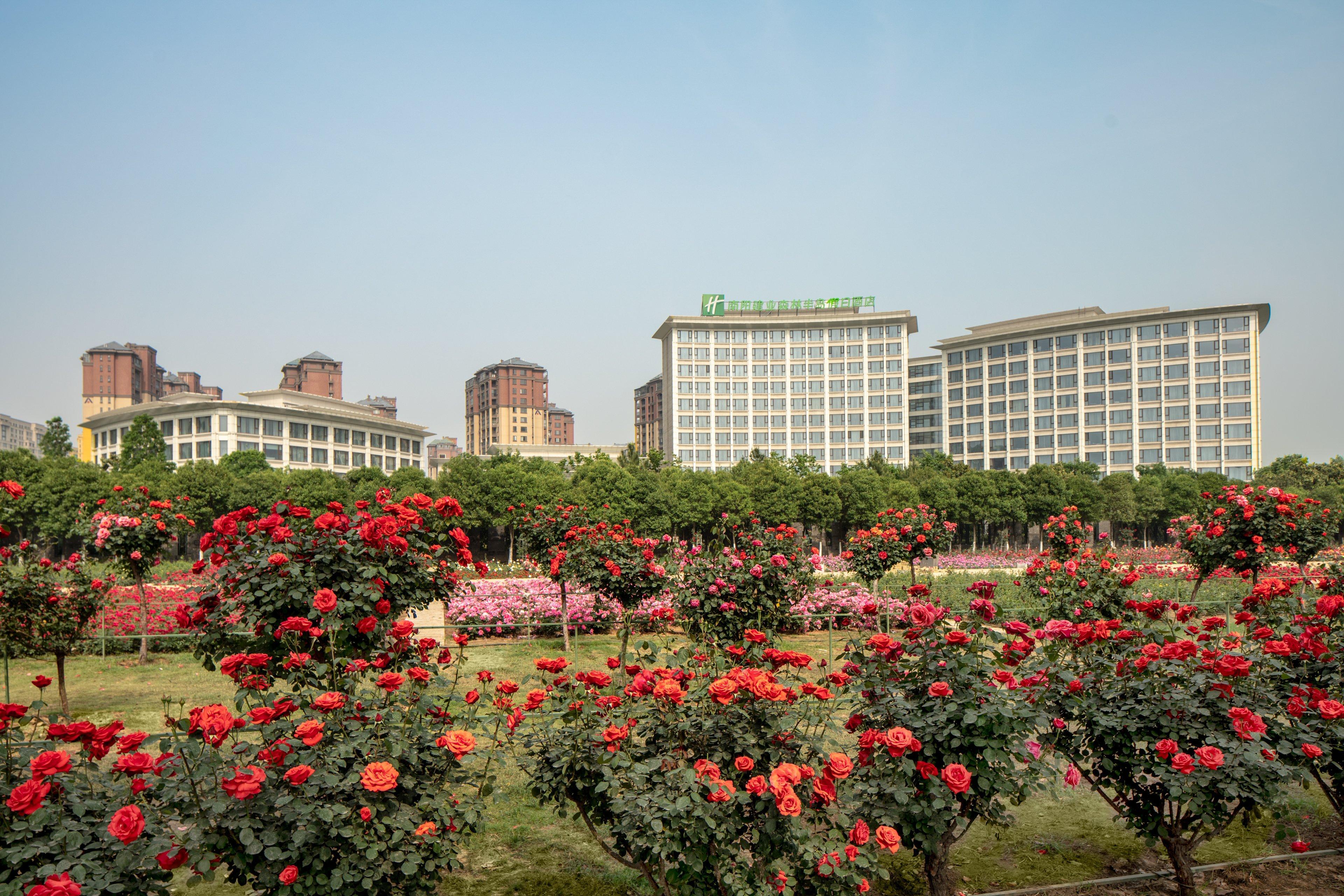 Holiday Inn Nanyang By Ihg Zewnętrze zdjęcie