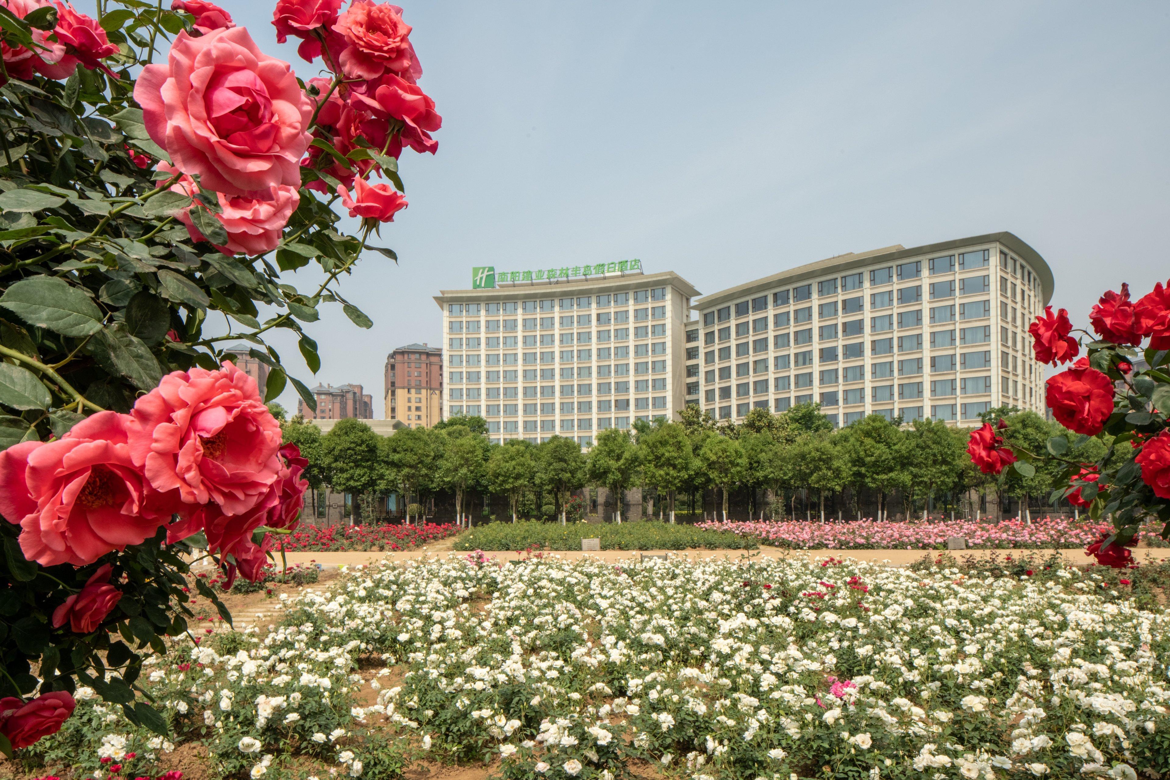 Holiday Inn Nanyang By Ihg Zewnętrze zdjęcie